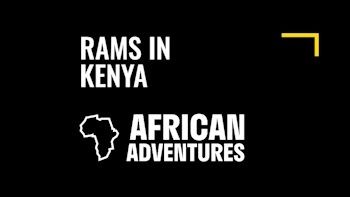 Derventio Education delighted to sponsor derby community trust Rams in Kenya